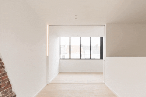 Animated GIF downsized